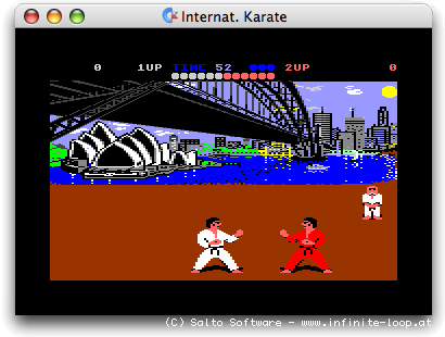 International Karate (410x310 - 16.9KByte)